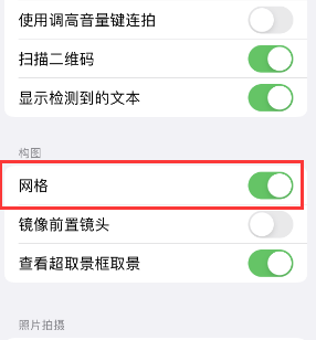 肥西苹果手机维修网点分享iPhone如何开启九宫格构图功能 