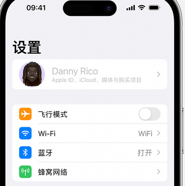 肥西appleID维修服务iPhone设置中Apple ID显示为灰色无法使用 