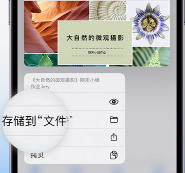 肥西apple维修中心分享iPhone文件应用中存储和找到下载文件