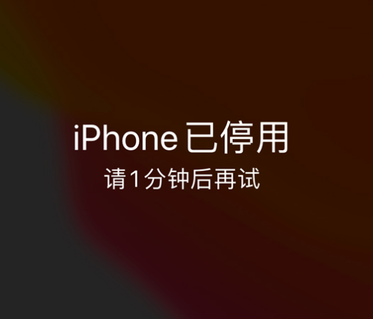 肥西苹果手机维修分享:iPhone 显示“不可用”或“已停用”怎么办？还能保留数据吗？ 