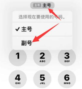 肥西苹果14维修店分享iPhone 14 Pro Max使用副卡打电话的方法 