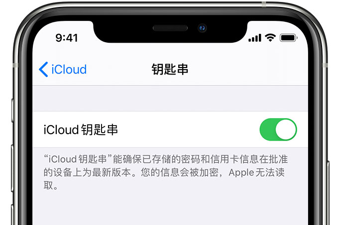 肥西苹果手机维修分享在 iPhone 上开启 iCloud 钥匙串之后会储存哪些信息 