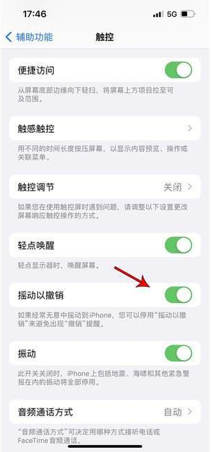 肥西苹果手机维修分享iPhone手机如何设置摇一摇删除文字 