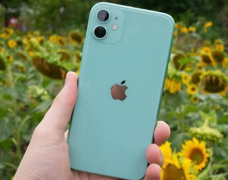 肥西苹果维修点分享iPhone 11锁屏密码认知与使用科普 